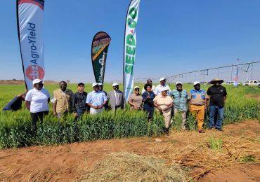 Le projet de production d'énergie solaire et d'irrigation par pompage d'eau de Wanjin est officiellement inauguré, stimulant le développement agricole au Zimbabwe
    