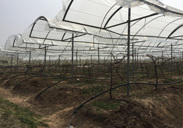 Projet d'irrigation goutte à goutte photovoltaïque de 7,5 kW à Xuzhou