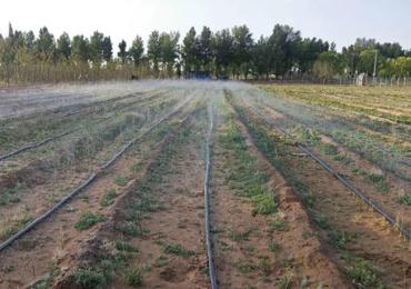 projet de démonstration d'irrigation des terres agricoles dans le nord du shaanxi